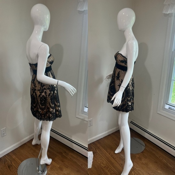 NWT BASIX II Lace Mini Dress - Picture 3 of 8